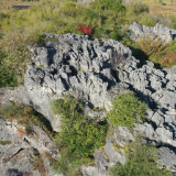 探索江华古八景——奇兽虚明