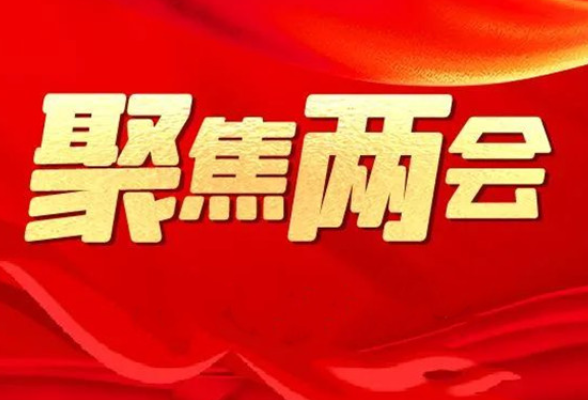 陈爱林参加祁阳、道县代表团讨论：发挥比较优势 找准主攻方向 全力推动县域经济高质量发展取得新突破