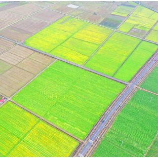 湖南道县：春回大地 乡村如画（组图）