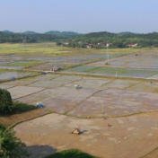 冷水滩区召开2023年春耕生产工作部署会