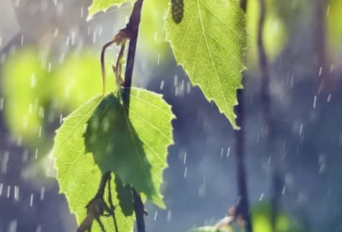 文化永州丨嶷山阿云：三月，想雨