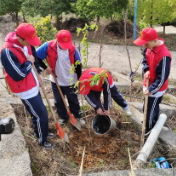 学雷锋植树护绿 永州四中在行动