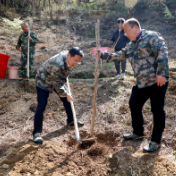 双牌：“五大家”领导参加义务植树活动