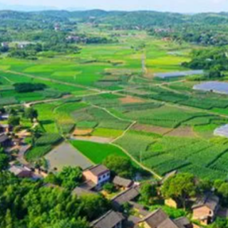 冷水滩区：以粮食安全助推乡村振兴