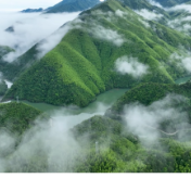 康“氧”福地 和美双牌丨山水灵动 盛世花开，阳明山杜鹃花会等你来