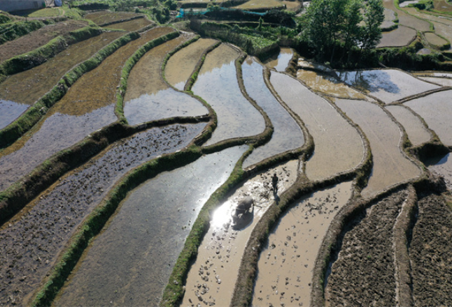 湖南江永：初夏瑶寨田园风光美如画（组图）