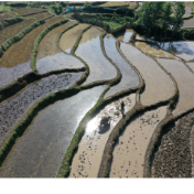 湖南江永：初夏瑶寨田园风光美如画（组图）