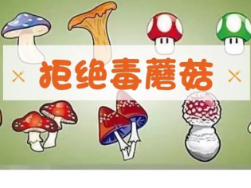 永州：突出打好“五张牌” 有力有效强化野生蘑菇中毒防控工作