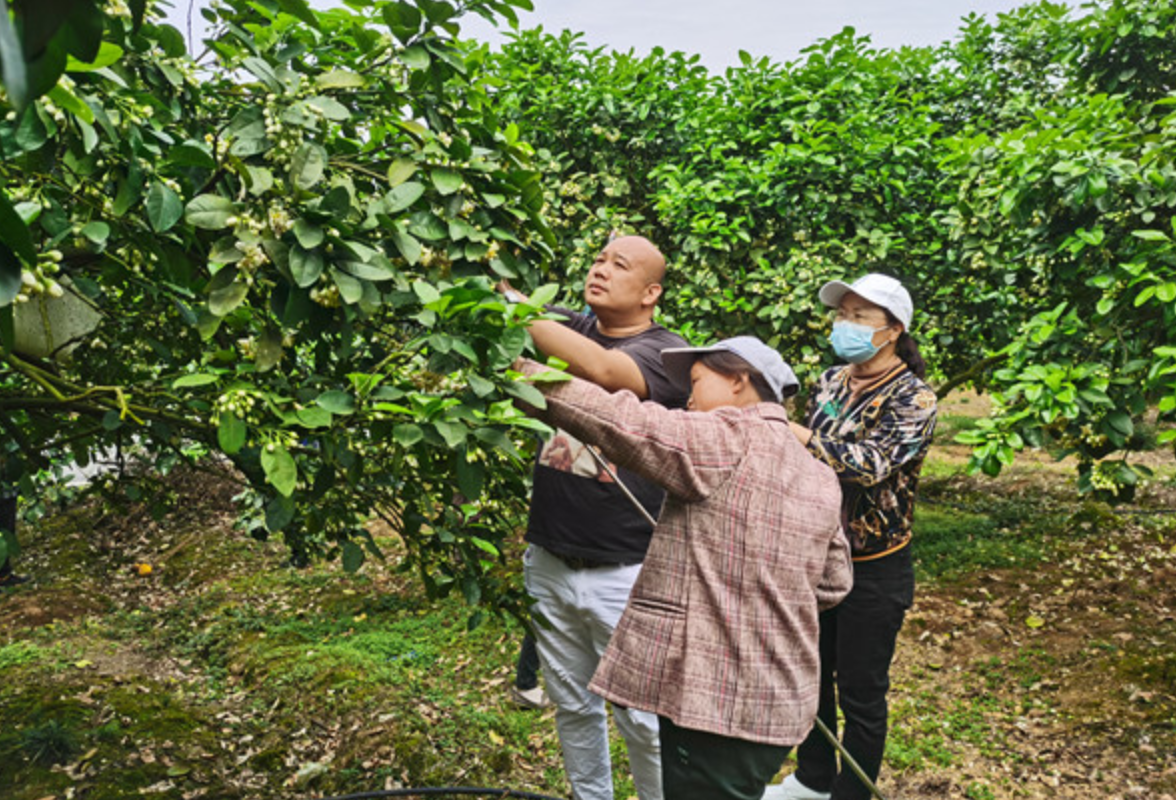 江永：推行村（居）民代表服务机制 打通服务群众“最后一米”