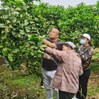 江永：推行村（居）民代表服务机制 打通服务群众“最后一米”