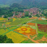 湖南江永：勾蓝瑶寨花海美如画（组图）