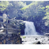 视频丨在湖南双牌，有一种夏天，叫22℃的阳明山