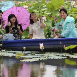 零陵夏阳村：“莲虾共养”铺就生态致富路