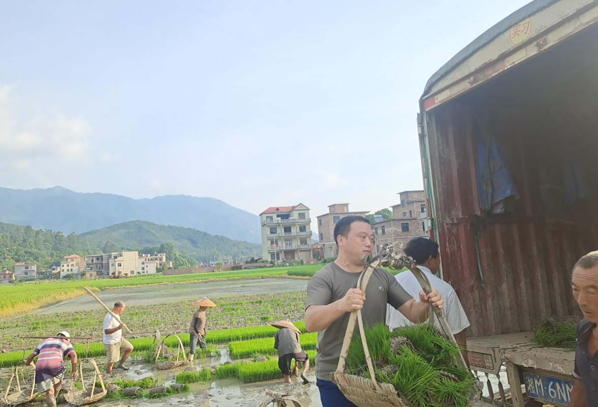 永州市卫健委驻村帮扶工作队：助农插秧为党庆生