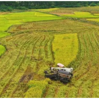 道县：全力以赴抓好粮食生产示范片建设