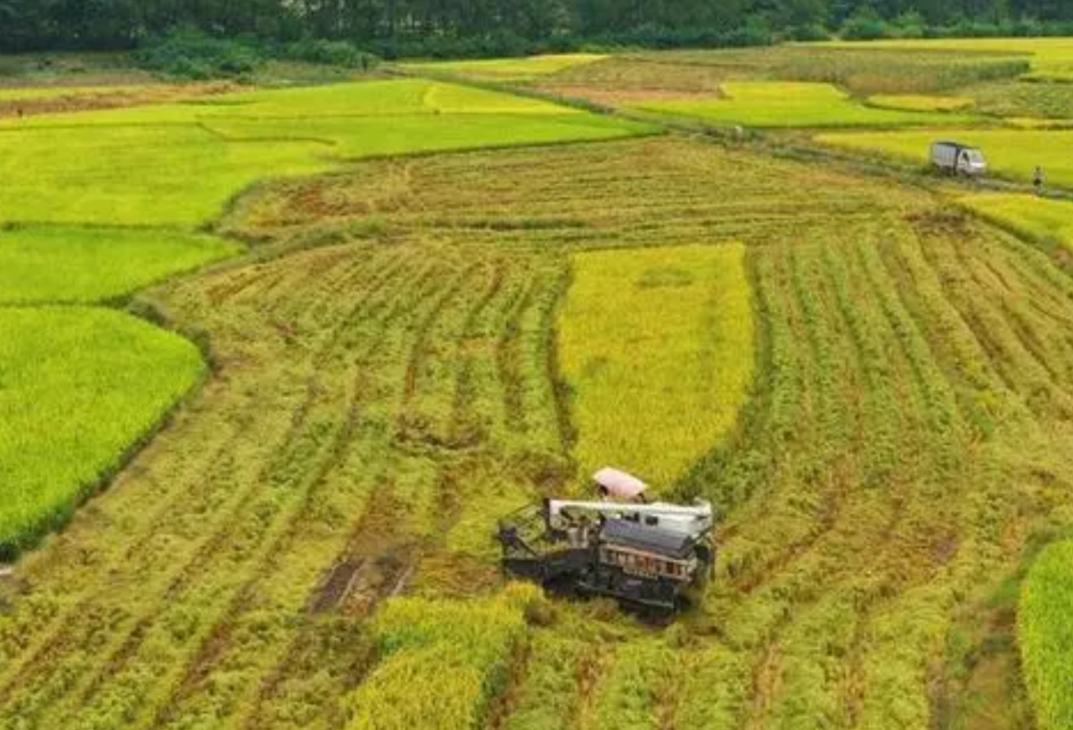 道县：全力以赴抓好粮食生产示范片建设