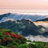 走，去永州丨 桑显瑛：世界这么大，我想去永州
