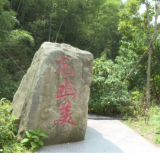 ﻿祁阳龙凼村：生态旅游助力乡村振兴