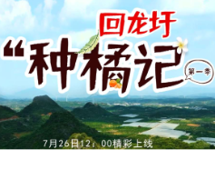光明日报丨湖南永州推出新闻微纪实系列短视频《回龙圩种橘记》
