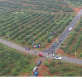 祁阳：油茶实用技术培训 助力产业提质增效