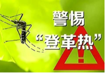 湖南省疾病预防控制中心提醒：“登革热高发，慎防被叮咬”