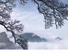文化永州丨唐文君：永州的雪·2024