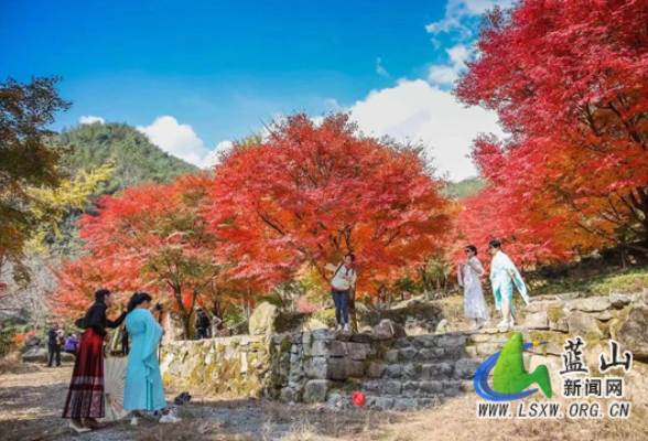 蓝山：“红古绿”三色融合 促进县域旅游多点“开花”