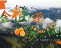 视频丨金“橙”所至，欣欣“向”荣！江永县市场监管局驻向光村第一书记喊您来打卡