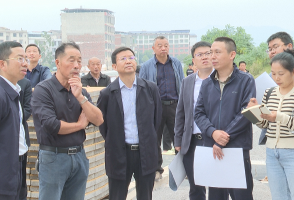 祁阳：蒋良铁调研沿江风光带建设工作