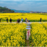 永州十场花事丨东安：油菜花开迎春来 乡村旅游正火热