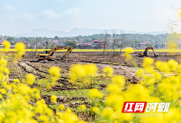 永州东安：高标准农田建设正酣（组图）