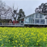 零陵：以花为媒促发展 文旅融合助振兴