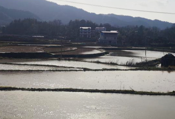 东安县：召开粮食生产现场会 打响早稻种植“第一仗”