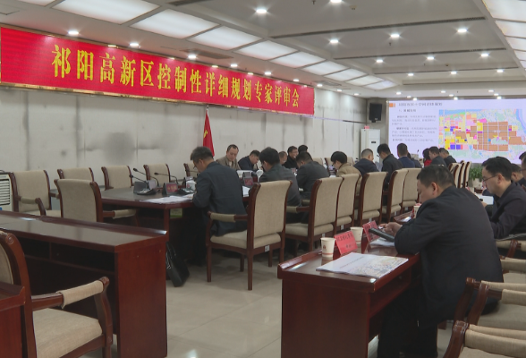 祁阳市召开高新区控制性详细规划专家评审会