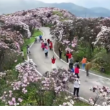 湖南卫视丨避暑旅游精品线路 带您畅游永州双牌