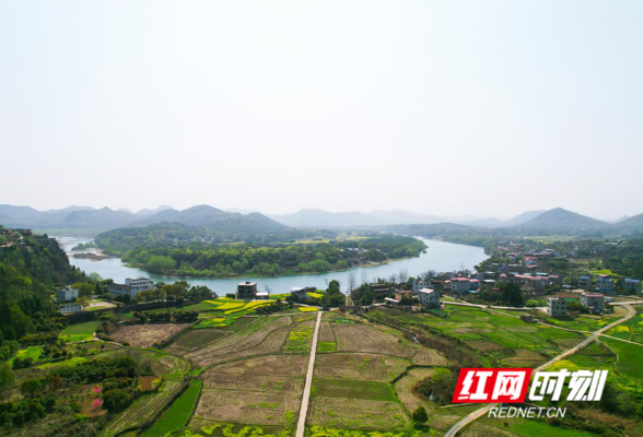 湖南东安：产业劲风 吹活一池春水