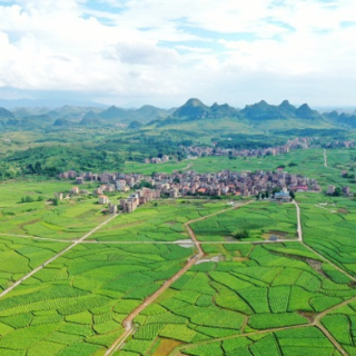 湖南新田：夏至时节万物长 田畴沃野尽“丰”景（组图）