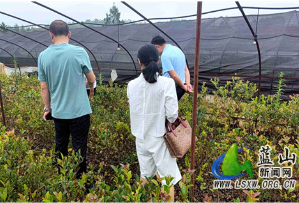 蓝山：科技特派员送“技”下乡 为乡村振兴赋能添智