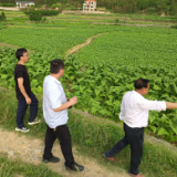 永州市中心医院乡村振兴工作队：坚持党建引领 扎实有序推进有效衔接