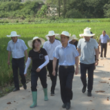 吴恢才到祁阳现场办公 推进灾后重建工作