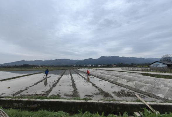 湖南零陵多措并举整治耕地“非农化”“非粮化”