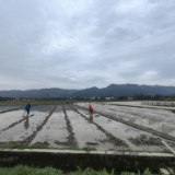 湖南零陵多措并举整治耕地“非农化”“非粮化”