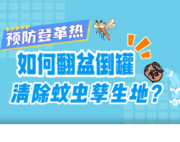 视频丨预防登革热如何翻盆倒罐，清除蚊虫孳生地?