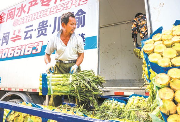 永州“菜园子”直通境外“菜篮子”