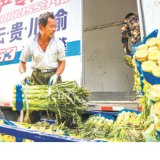 永州“菜园子”直通境外“菜篮子”