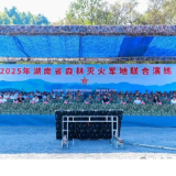 2025年湖南省森林灭火军地联合演练举行 林佳春出席并讲话 朱洪武致辞