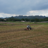 江华:油菜种植正当时 农机农技助秋播