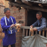 江华:开展秋季动物防疫 筑牢动物“免疫屏障”