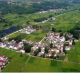 零陵：“菜”谱致富曲 又“蔬”振兴篇