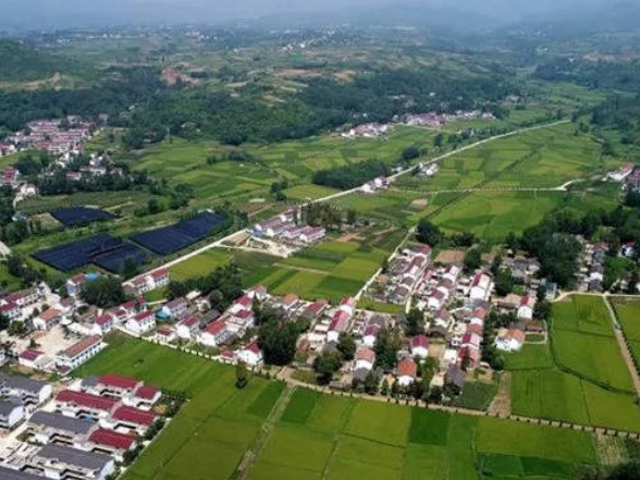 零陵：“菜”谱致富曲 又“蔬”振兴篇